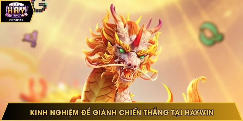 Kinh  nghiệm để giành chiến thắng tại Haywin