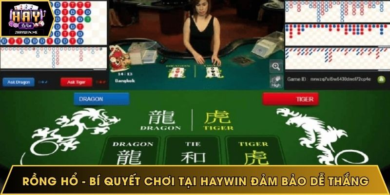 Rồng Hổ