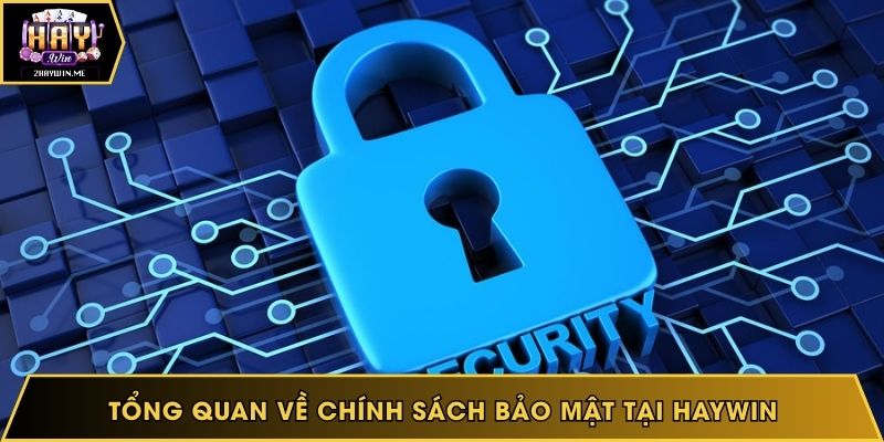 Tổng quan về chính sách bảo mật tại website Haywin