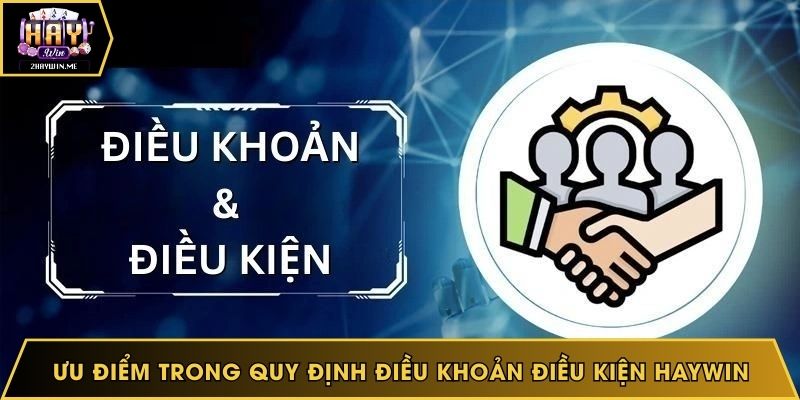 Ưu điểm trong quy định điều khoản điều kiện Haywin